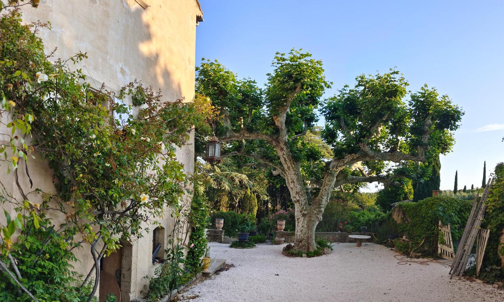 Rue Du Chateau A Cabrieres D'Avignon Acomodação com café da manhã Exterior foto